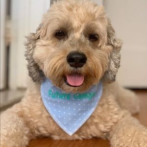 Meet your Posher, Rosa